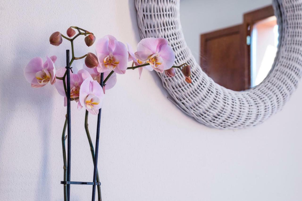 Romantic & Charming Apartment Scarlino Bagian luar foto